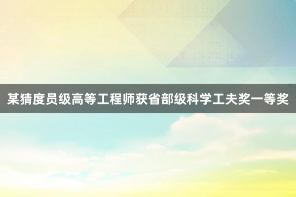某猜度员级高等工程师获省部级科学工夫奖一等奖