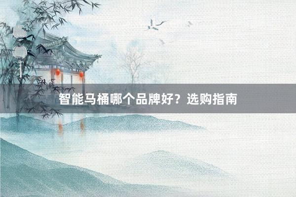智能马桶哪个品牌好？选购指南